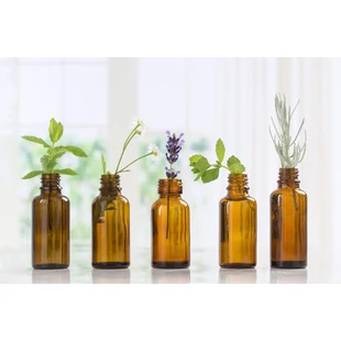 Botanical Extracts – Több mint ízesítés: a természet esszenciája az egészségedért