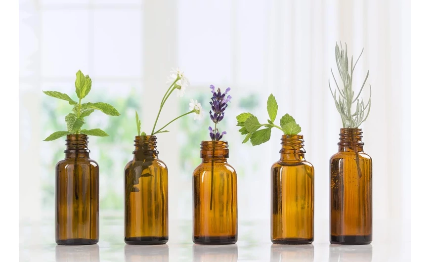 Botanical Extracts – Több mint ízesítés: a természet esszenciája az egészségedért